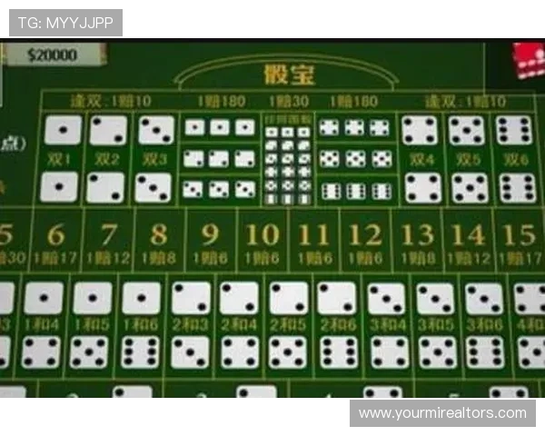 了解骰宝游戏的起源与演变，感受其丰富的文化底蕴