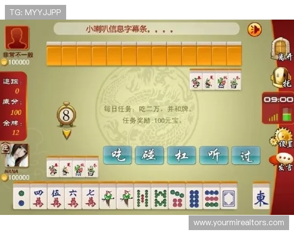 二人麻将的基本规则与常用打法技巧，提升你的游戏水平和胜率