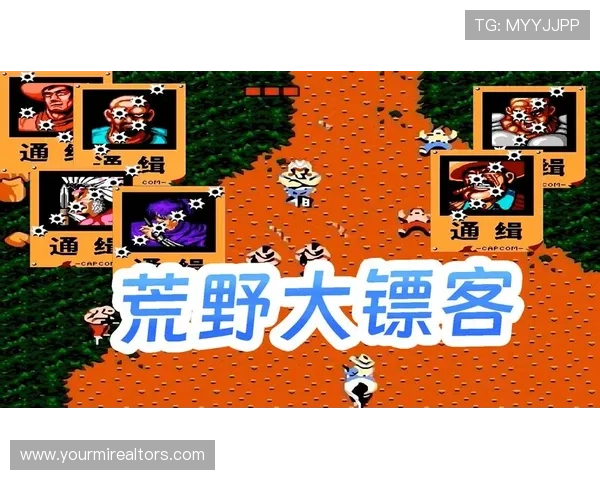 全方位提供FC游戏合集免费下载，畅享怀旧经典游戏体验