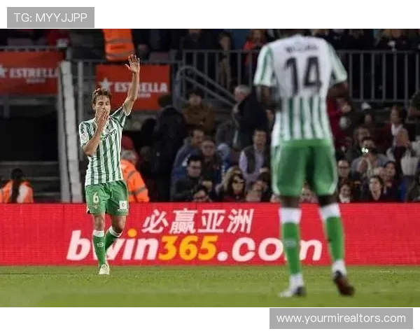 必赢亚洲197用户评价与口碑分析帮助新手选择最适合的游戏平台